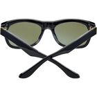 FOYT, Shiny Black Transparent Layer-Mineral Polarized 555nm Cat 3 to 3, hi-res image number null